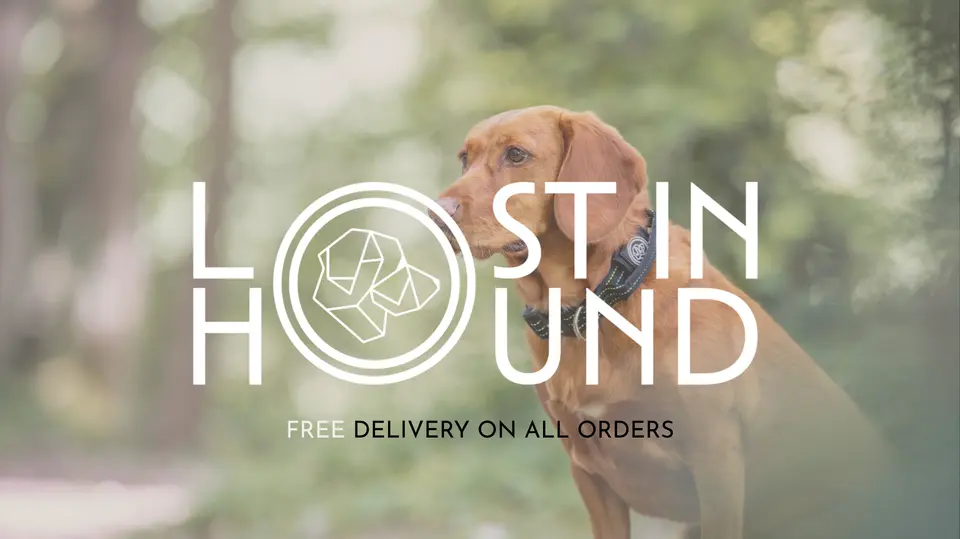 Lost in Hound